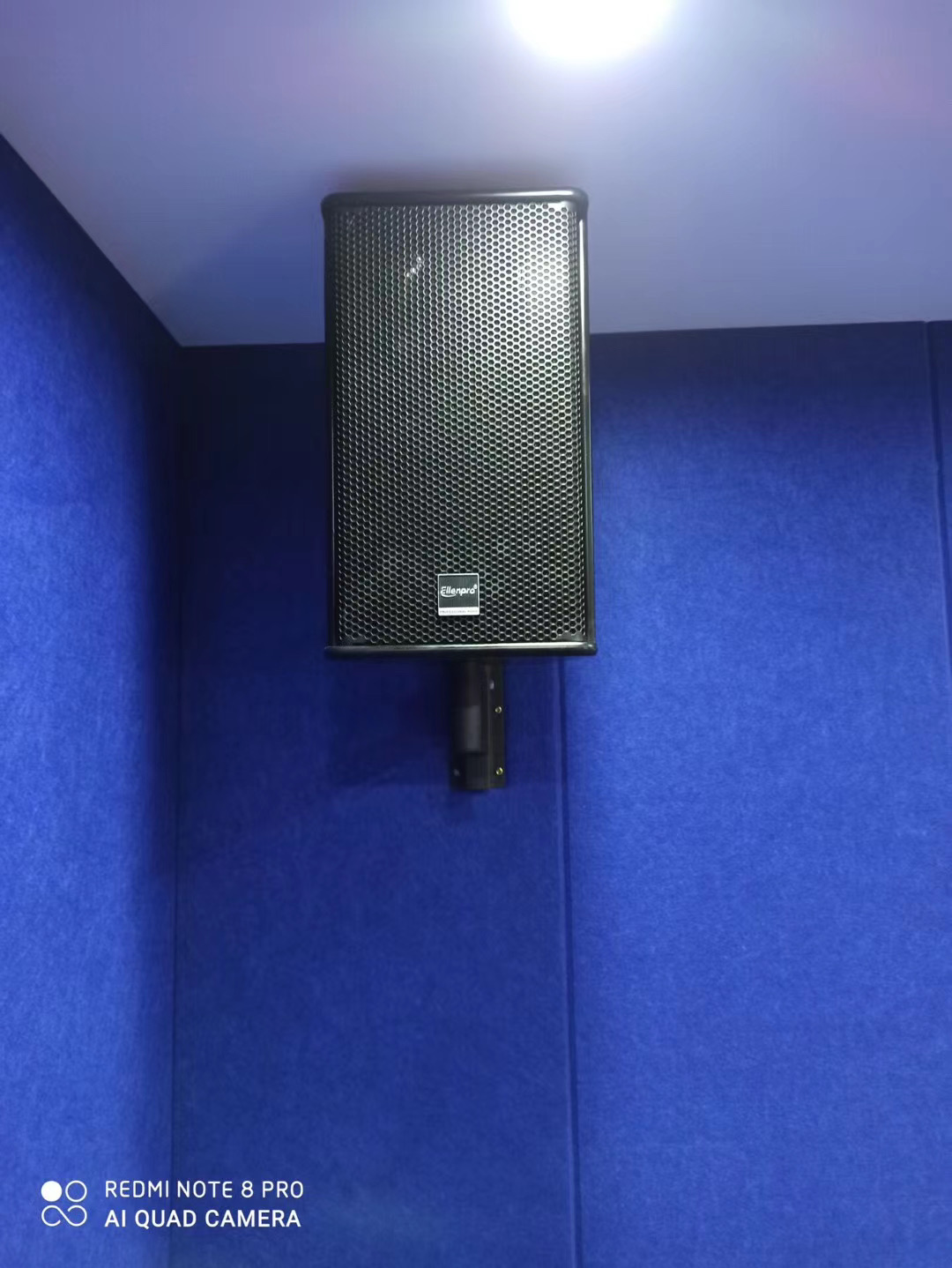 湖北武汉某集团单位报告厅